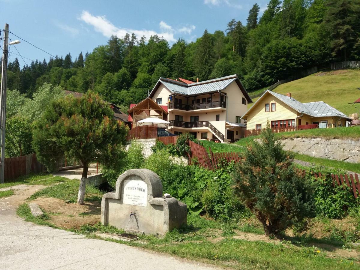 Lip Si Ely Hotel Dîmbovicioara Kültér fotó